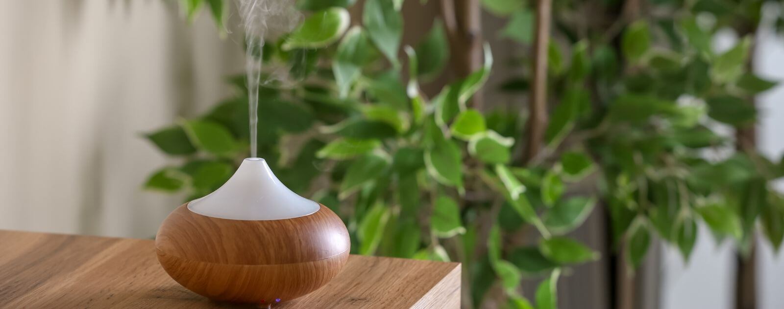Pourquoi utiliser un diffuseur d’huiles essentielles ?