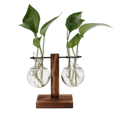 Vase Décoratif <br> Design Soliflore Boule Vase Ambiance Cosy Symétrique 