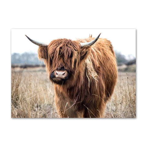 Tableau bison