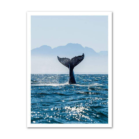 Tableau queue de baleine