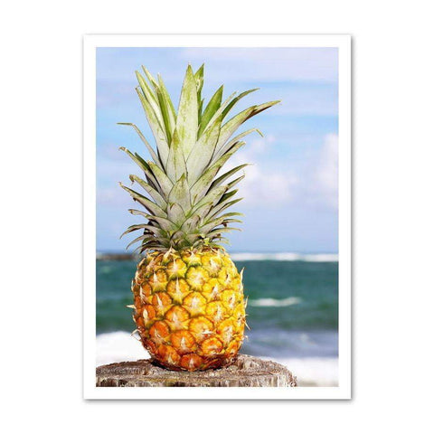 Toile ananas