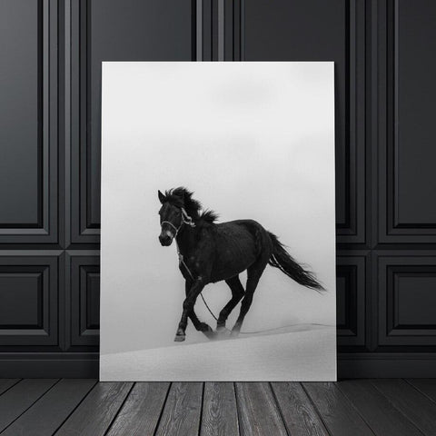 Toile cheval noir et blanc