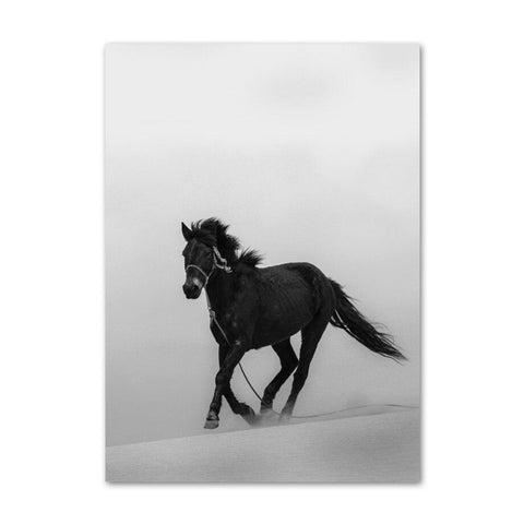 Toile cheval noir et blanc