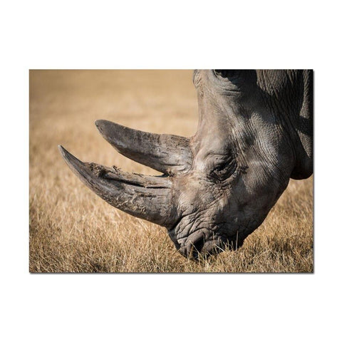 Toile rhinocéros
