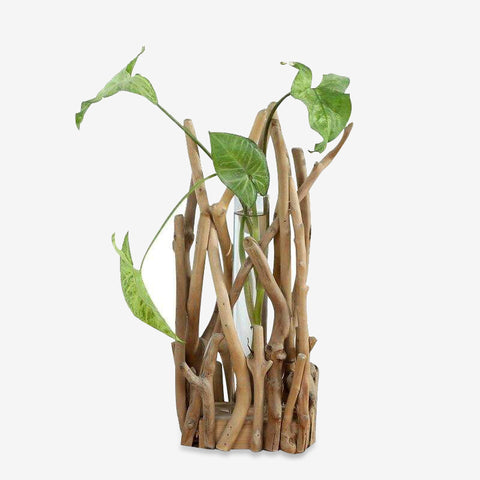Vase en bois naturel