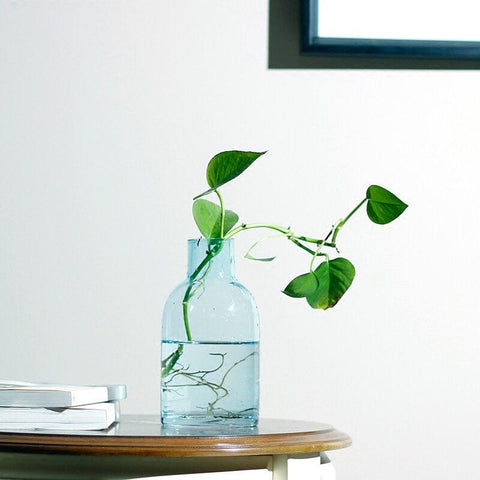 Vase Décoratif <br> Design Bleu Transparent Vase Ambiance Cosy 