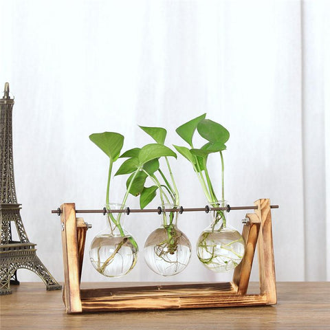 Vase Décoratif <br> Design Boule en verre Vase Ambiance Cosy 